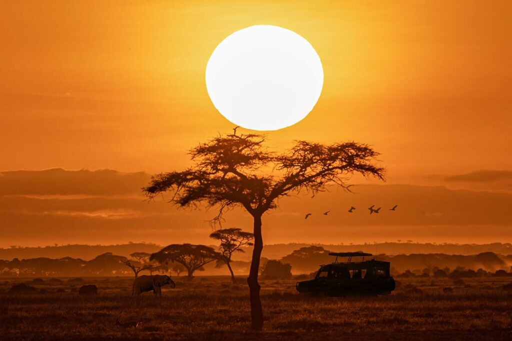 Untamed Africa: Guided Safari Expeditions