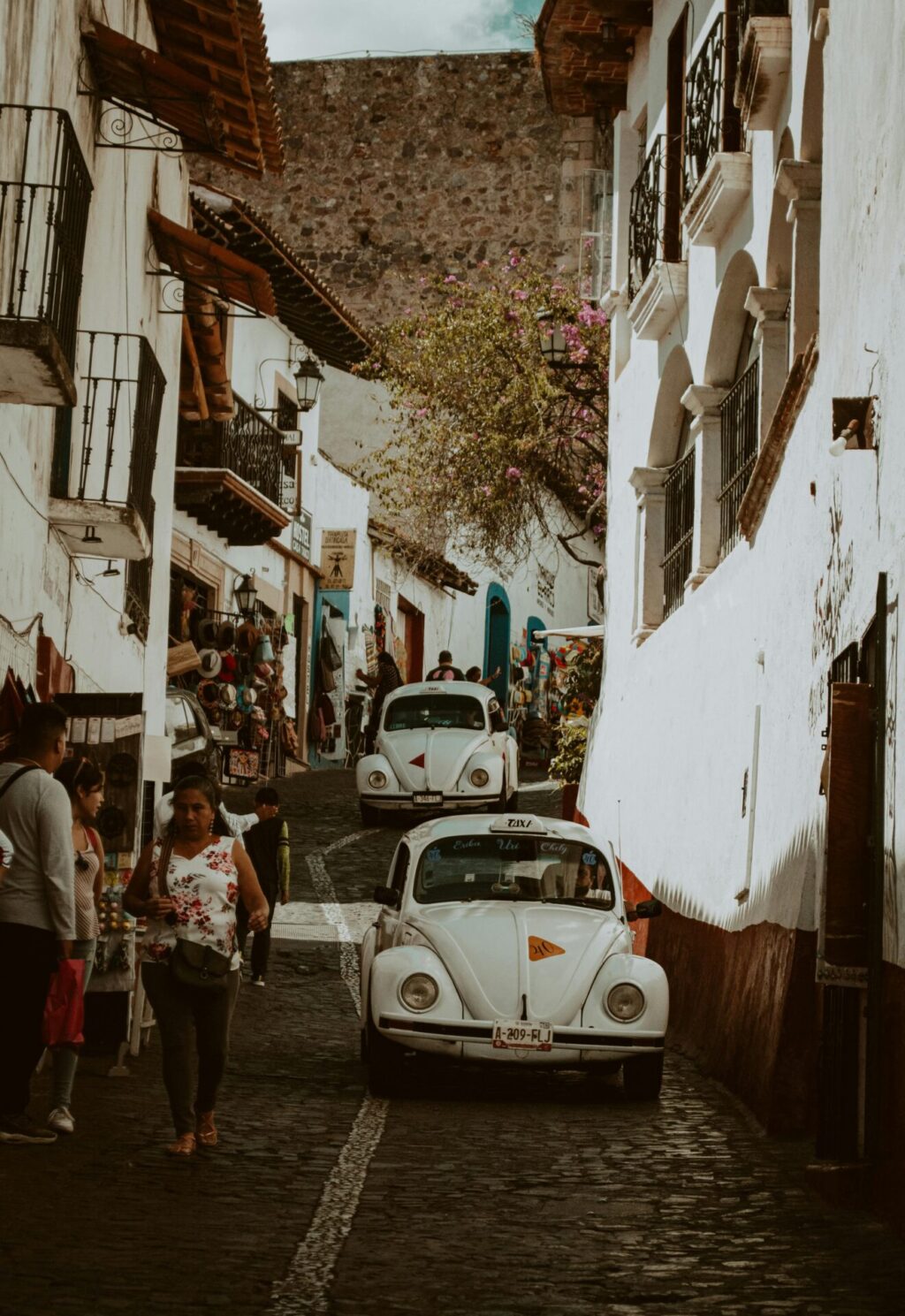 pexels-alejandro-aldama-344440637-15686681